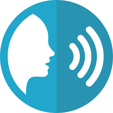 Vapi Voice AI - How to store Voice Notes